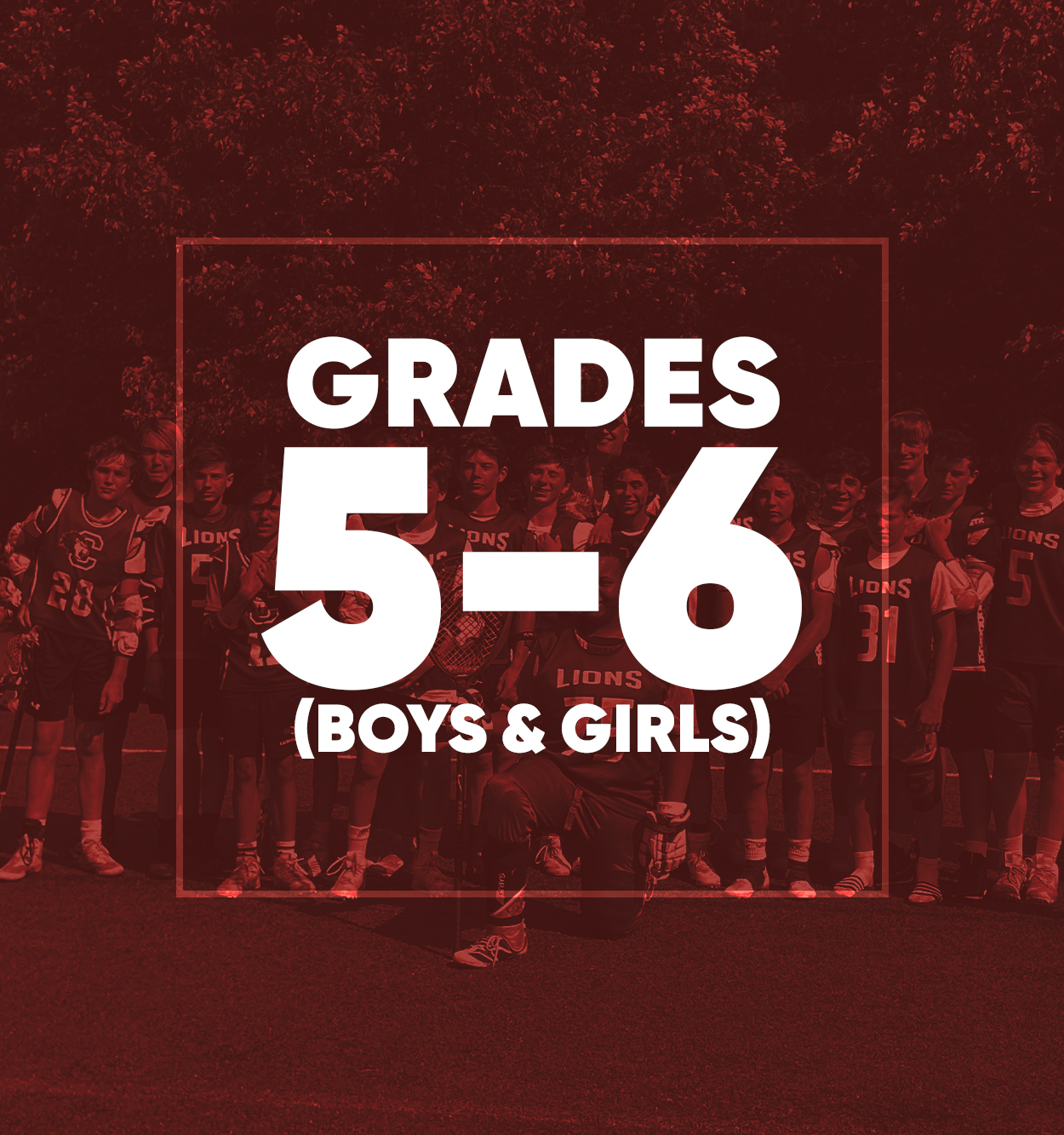 Grades 5-6